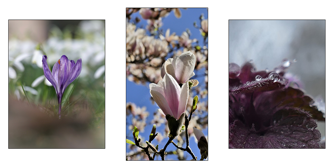 Wiosna • Cztery Pory Roku